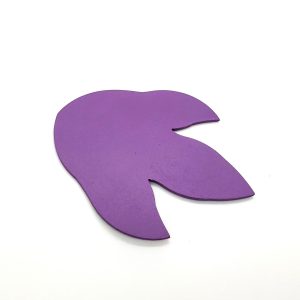 Accessoires empreintes de dinosaures