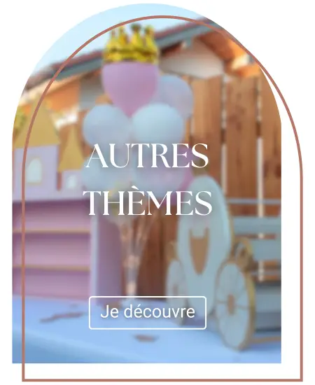 Thèmes pour anniversaire comme thème princesse, thème marin, etc.