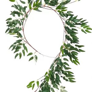 Guirlande sauge